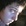 Shane's avatar