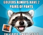 Pun Raccoon