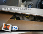 Disgruntled Owl