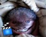 Baby Monkey
