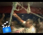 Roxbury High School Senior Prank