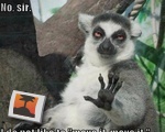 No, sir
