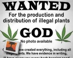 WANTED