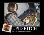 Stupid Bitch