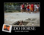 Pedo Horse