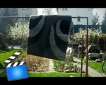 Ninjas are everywhere